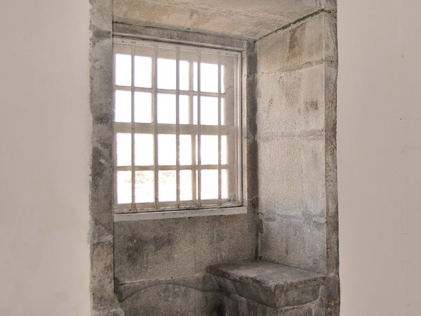 Detail of a cell